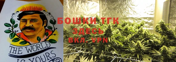 PSILOCYBIN Переславль-Залесский