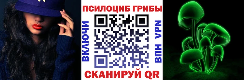 Псилоцибиновые грибы Psilocybe  наркошоп  Новодвинск 